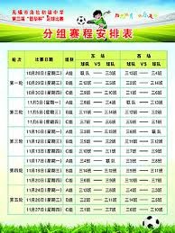 伊朗代表团成员签证问题引发关注 足球世界杯前景堪忧